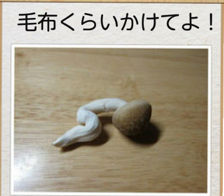 写真でボケてみよ~