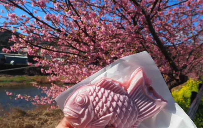 写真でボケてみよ~