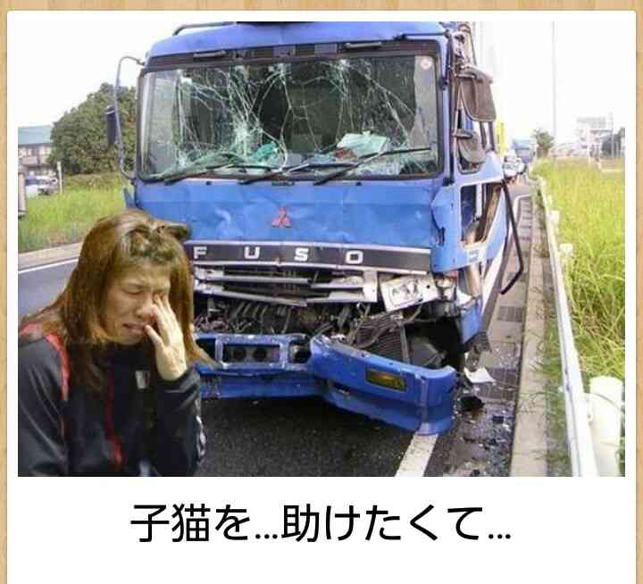 写真でボケてみよ~