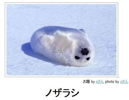 写真でボケてみよ~