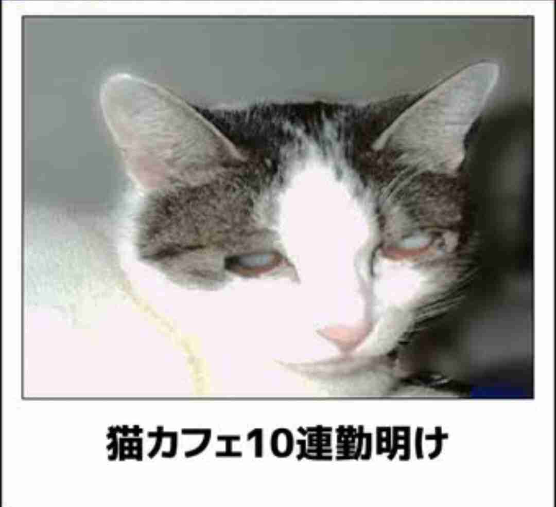 写真でボケてみよ~