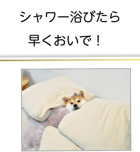 写真でボケてみよ~