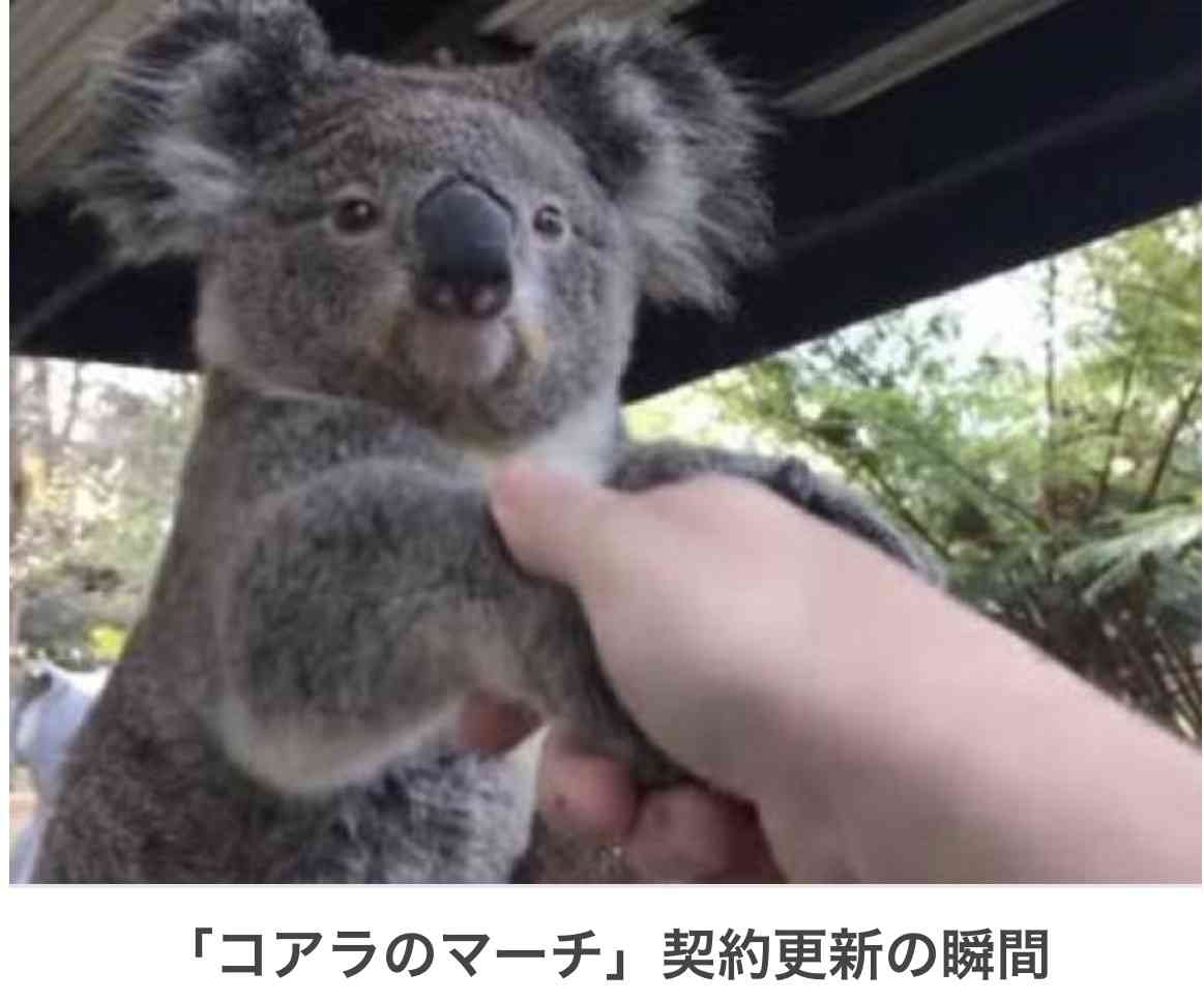 写真でボケてみよ~