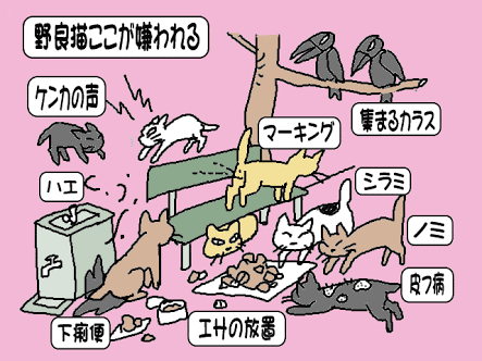 写真でボケてみよ~