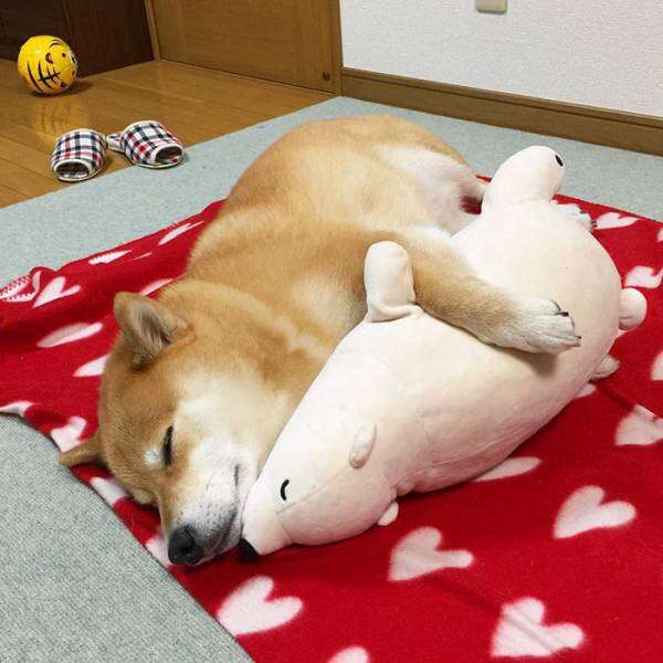 顔が可愛い事で上位互換されたエピソード