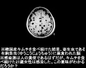 どこの国行ったことありますか?