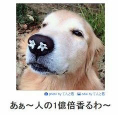 お花見で嫌な体験をした人