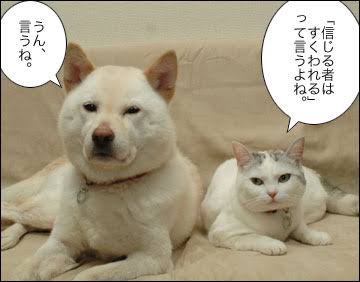 コムデギャルソン（COMME des GARÇONS）を語ろう★