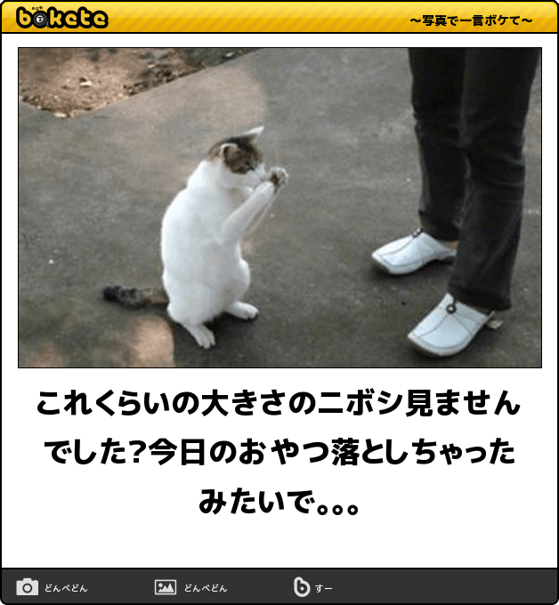 ついつい甘いもの食べすぎちゃうガル民