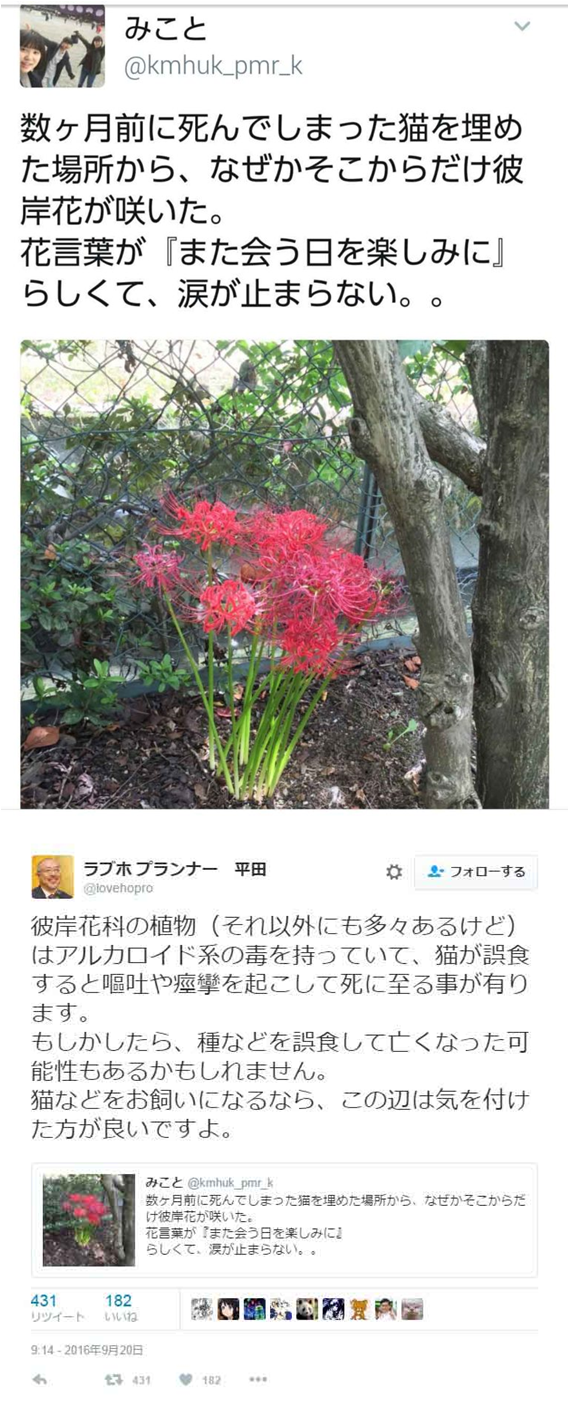 最近知ってビックリしたこと