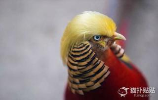 【超閲覧注意】不気味な生物の画像を貼っていくトピ【苦手な方注意】