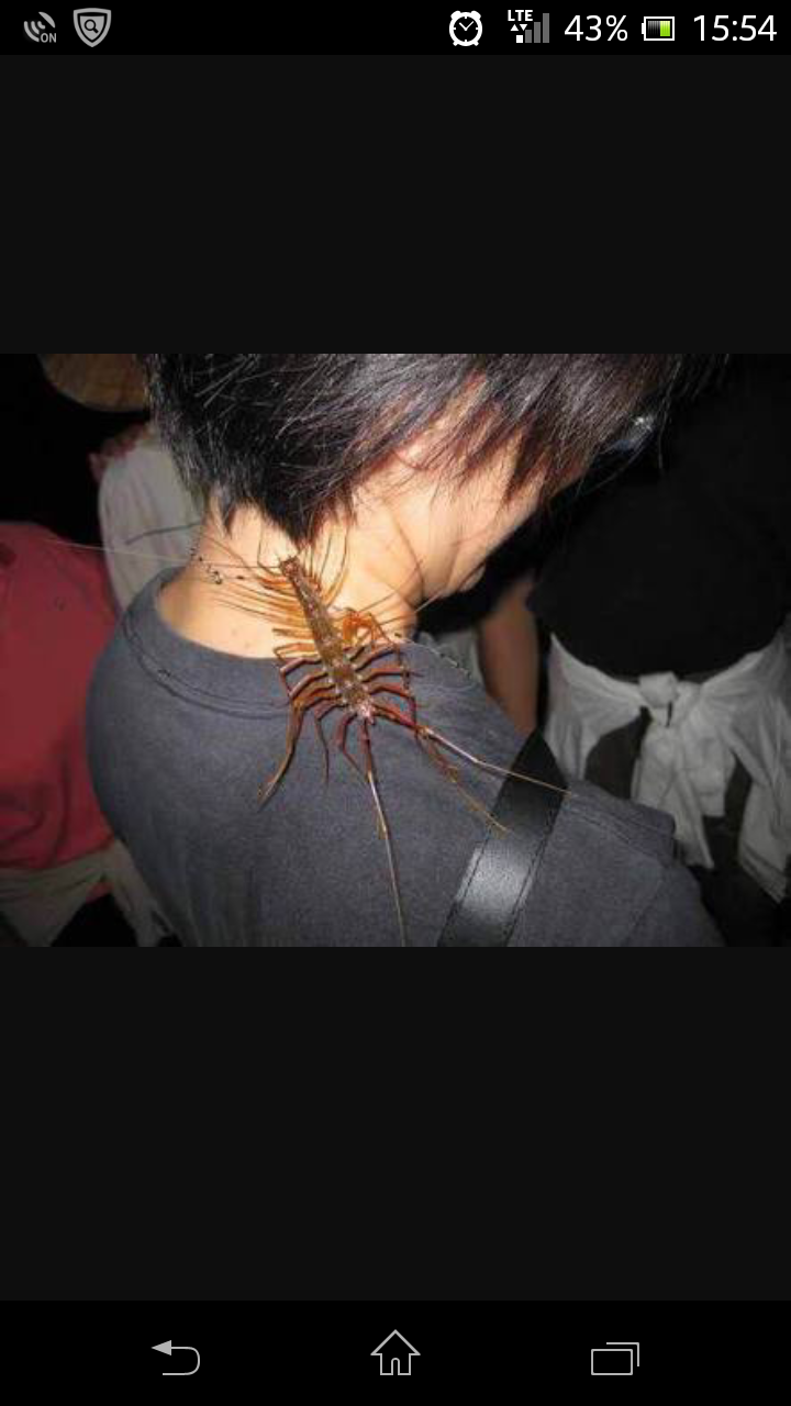 【超閲覧注意】不気味な生物の画像を貼っていくトピ【苦手な方注意】