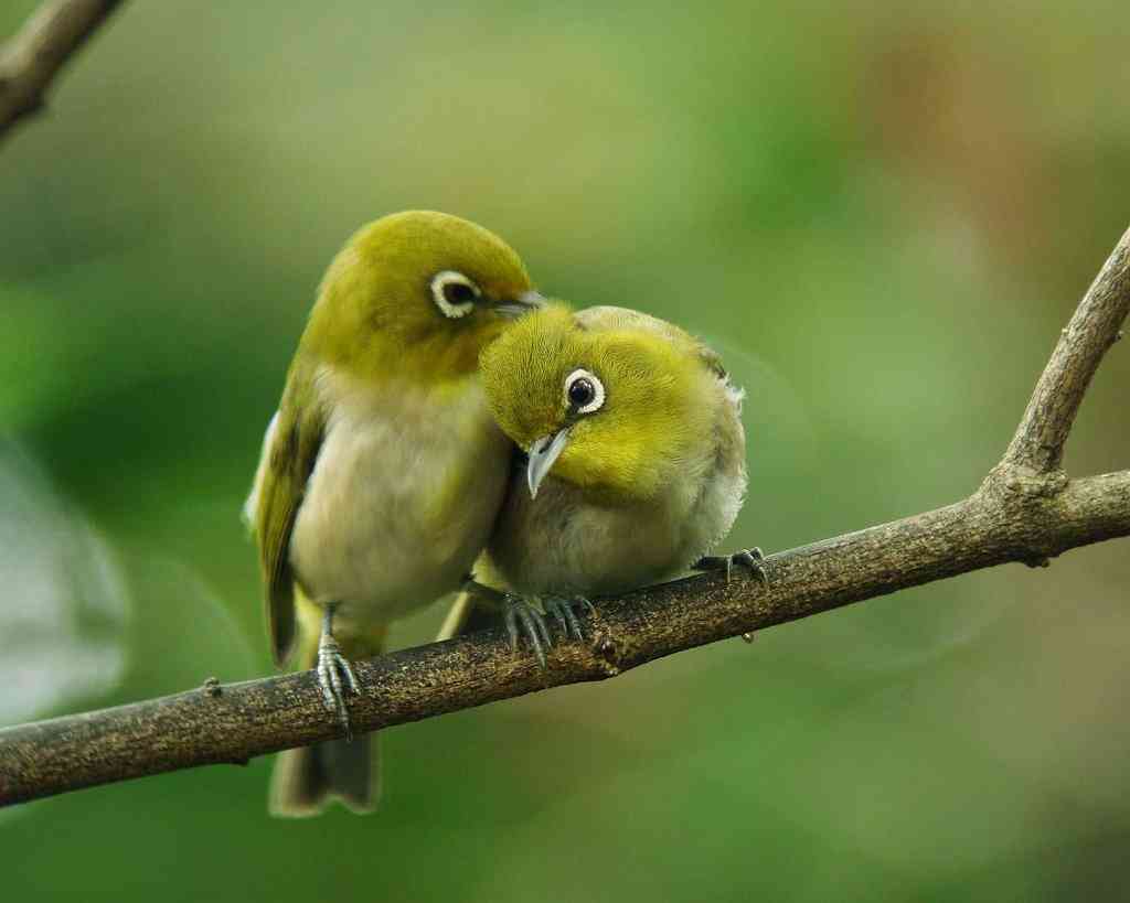 【超閲覧注意】不気味な生物の画像を貼っていくトピ【苦手な方注意】