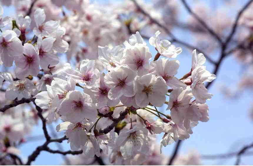 【超閲覧注意】不気味な生物の画像を貼っていくトピ【苦手な方注意】