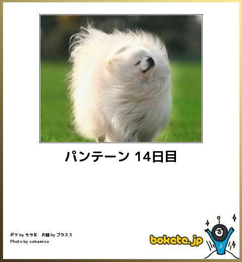 【超閲覧注意】不気味な生物の画像を貼っていくトピ【苦手な方注意】