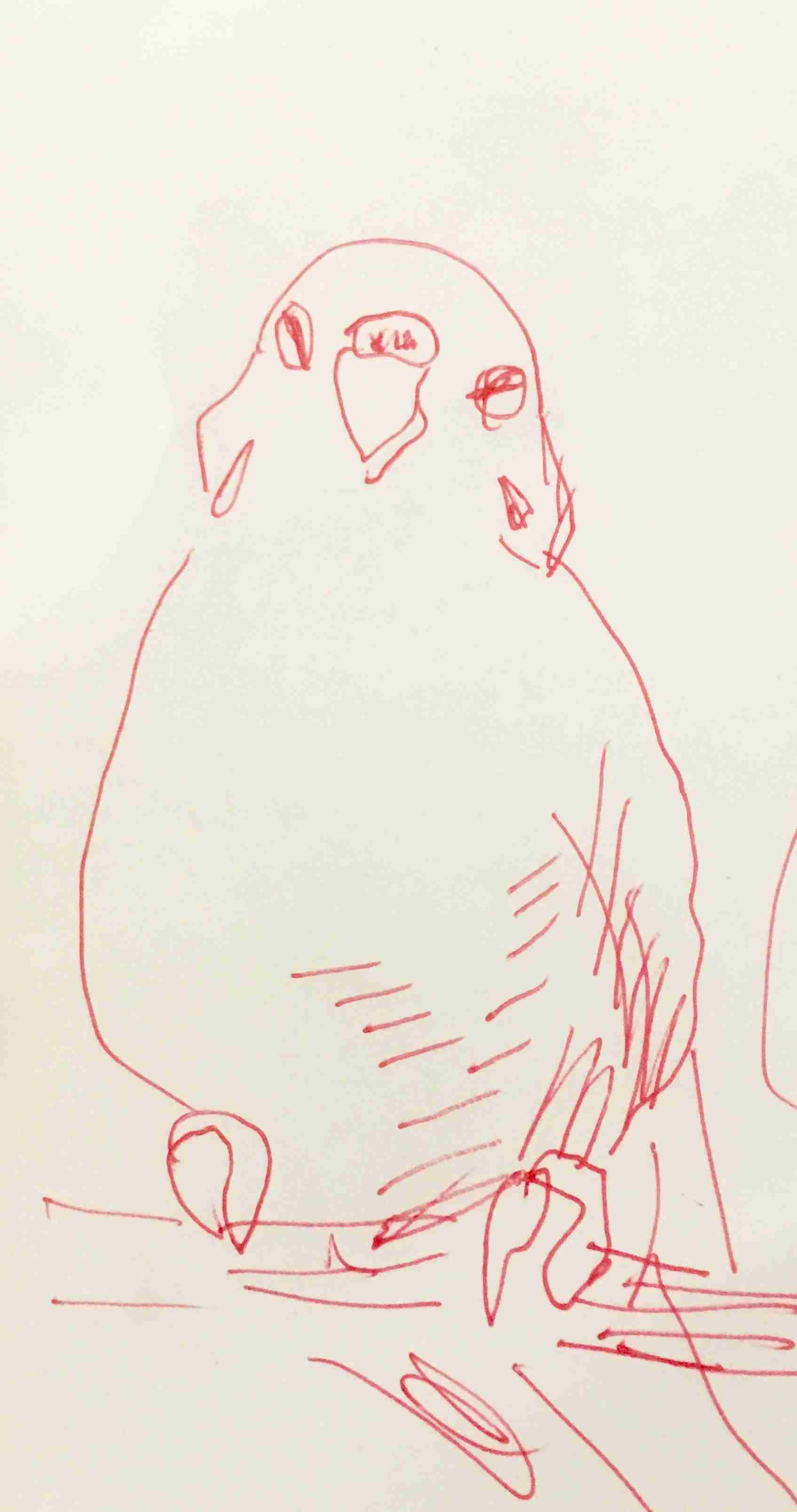 暇つぶしに落書きするトピ