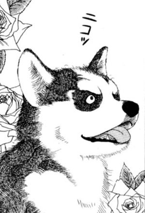 2次元の動物キャラを愛でるトピ