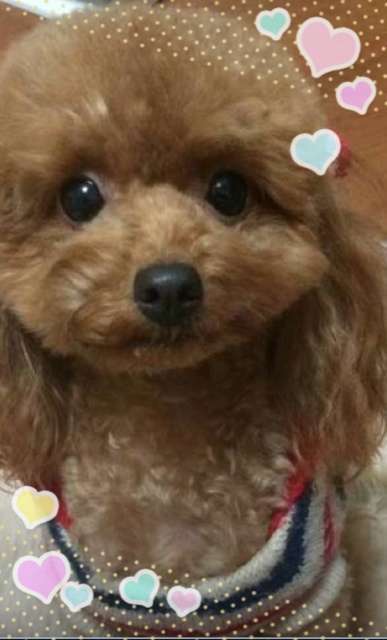 今日声を出して笑った人～！