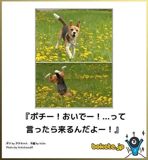 GW自宅組恒例！『ボケて祭り』