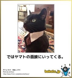 GW自宅組恒例！『ボケて祭り』