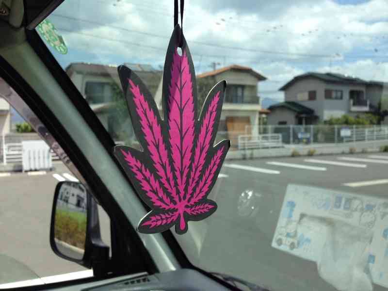 田舎のヤンキーにありがちなこと