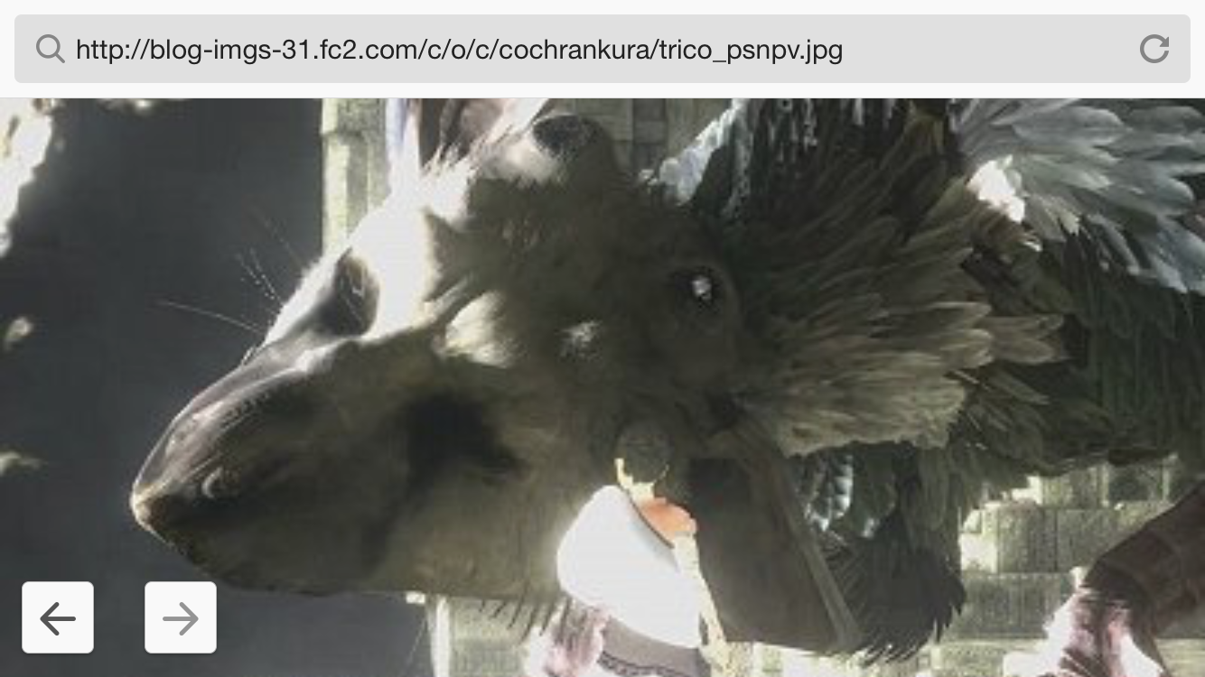 動物を一匹だけ不自由させずに飼えるとしたら何を飼いますか？