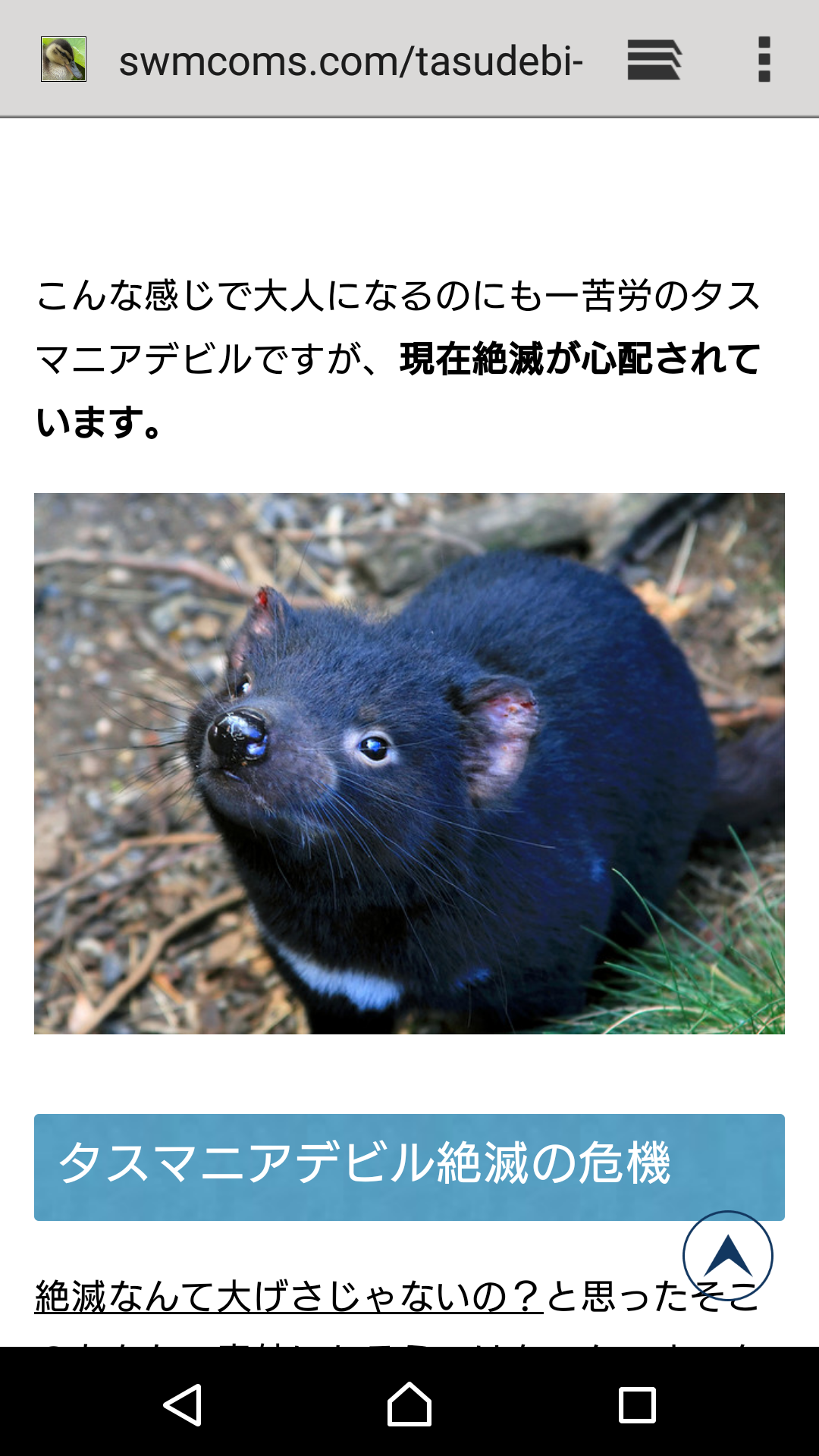 動物を一匹だけ不自由させずに飼えるとしたら何を飼いますか？