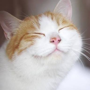 人生イージーモードな人 part3