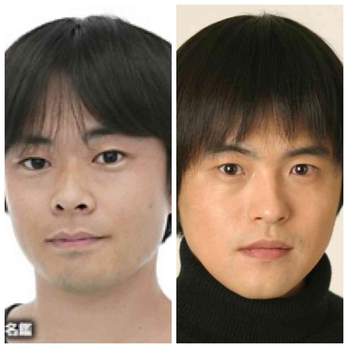 似ている２つのものを比べるトピ
