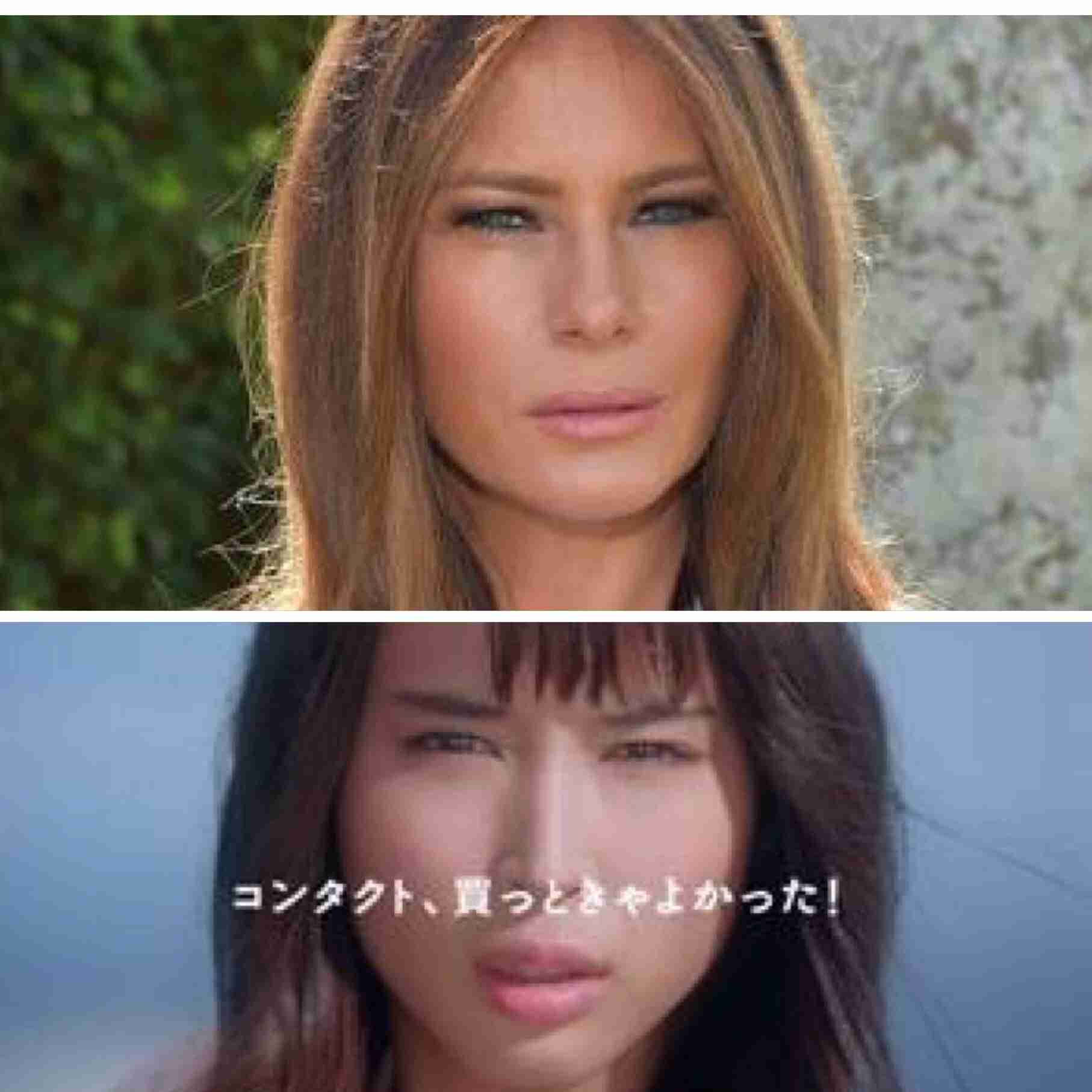 似ている２つのものを比べるトピ