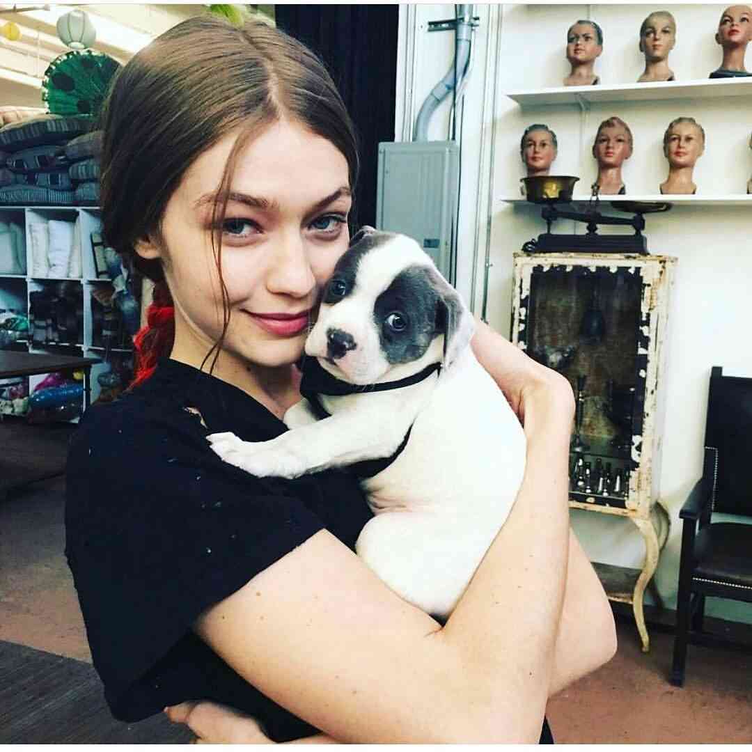 海外ゴシップを語ろう