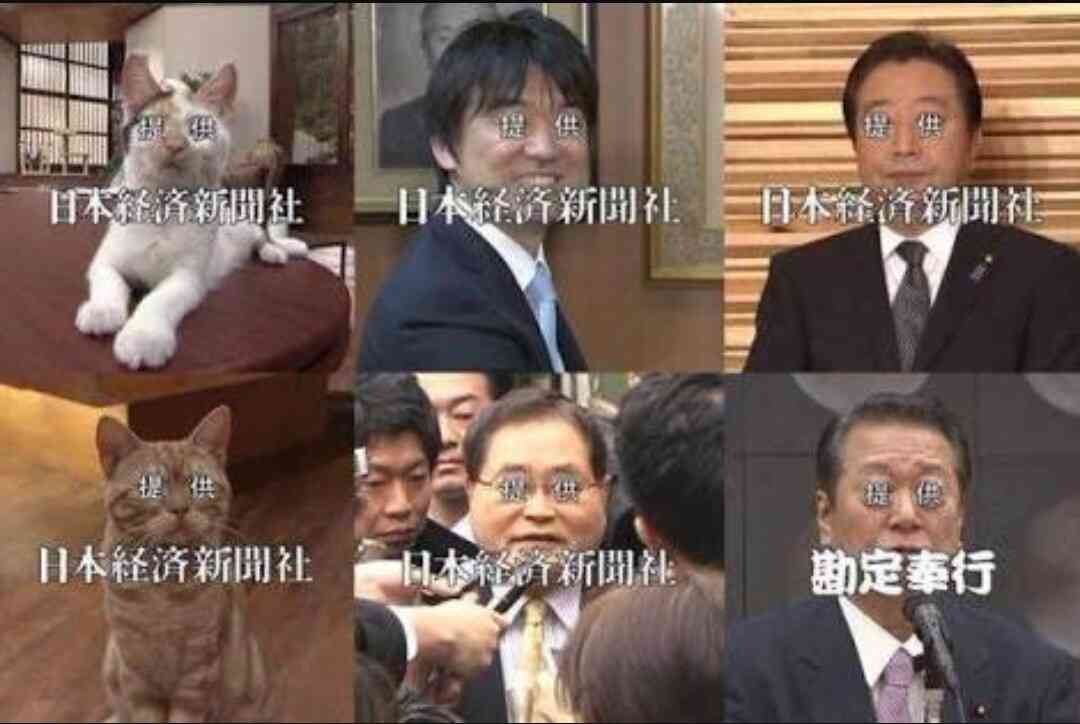 【ブレないテレ東】各局「浅田真央引退」一方テレ東は…独自路線の「お遍路」