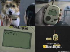 キョトン顔の動物
