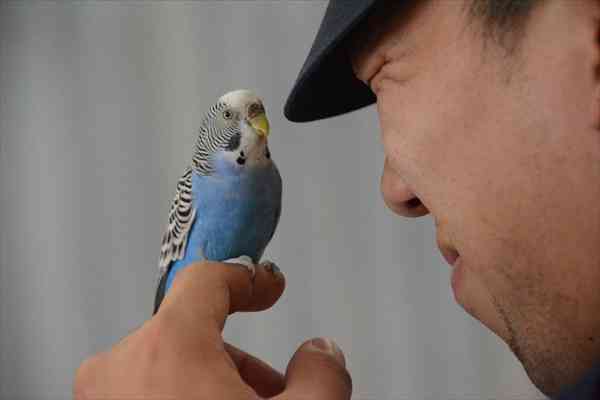 キョトン顔の動物
