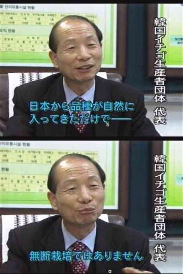 一番ムカつく画像を貼った人が優勝