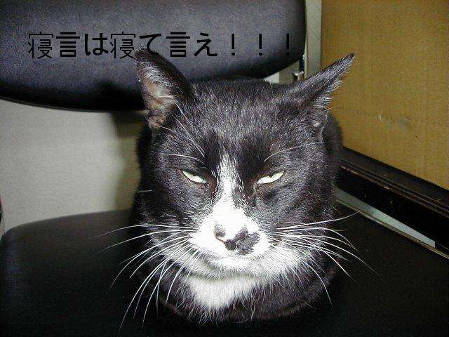 一番ムカつく画像を貼った人が優勝