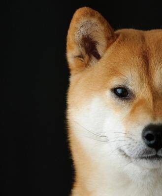 画像を貼ると誰かがいじってくれるトピ