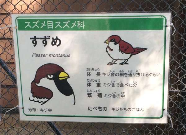 画像を貼ると誰かがいじってくれるトピ