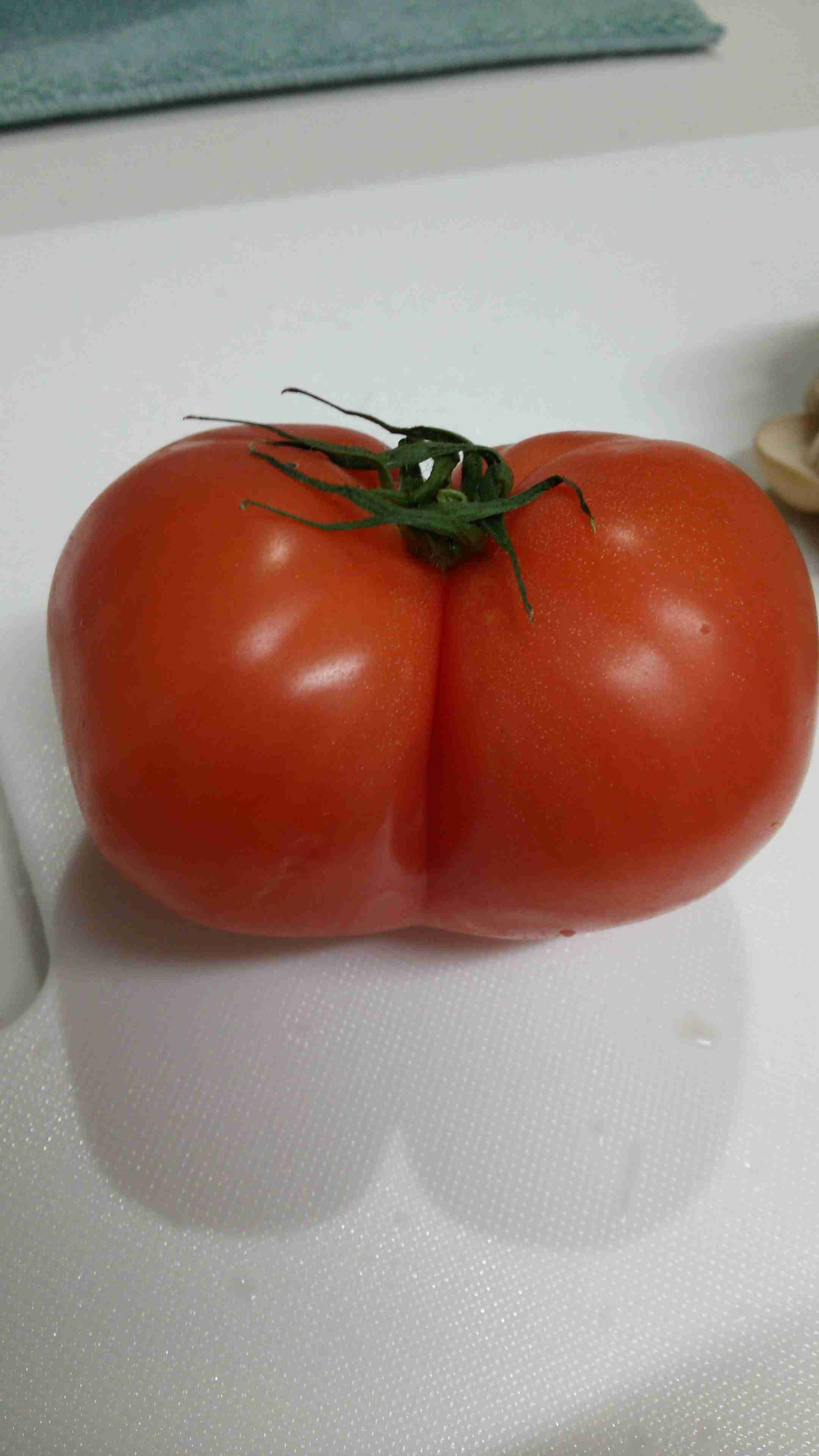 画像を貼ると誰かがいじってくれるトピ