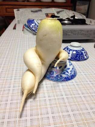 画像を貼ると誰かがいじってくれるトピ
