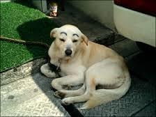 メイク下手な人あるある