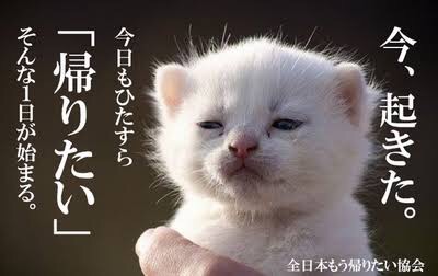 現実から逃げ出したい人が解放されるトピ