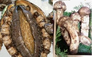 【下ネタ注意】エッチの時キュンとしたエピソードPart3