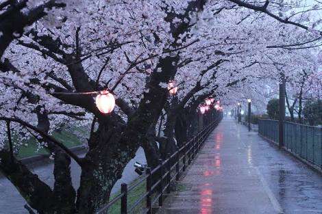 雨の日あるある