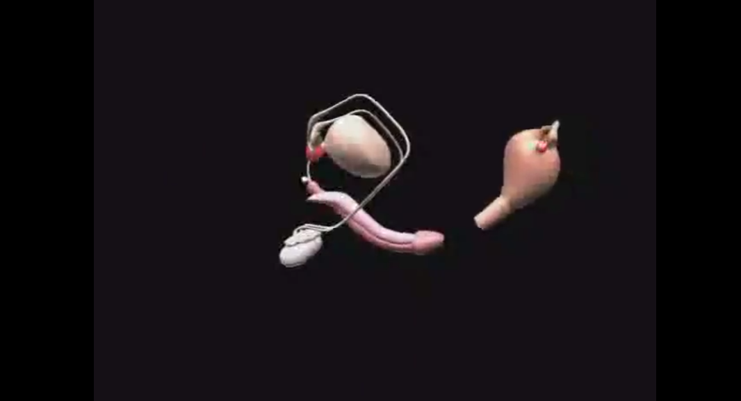 避妊を教えたらクビに…日本の「性教育」の実態にSHELLYら愕然