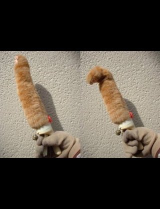 これ知ってる懐かしい！と思ったらプラス