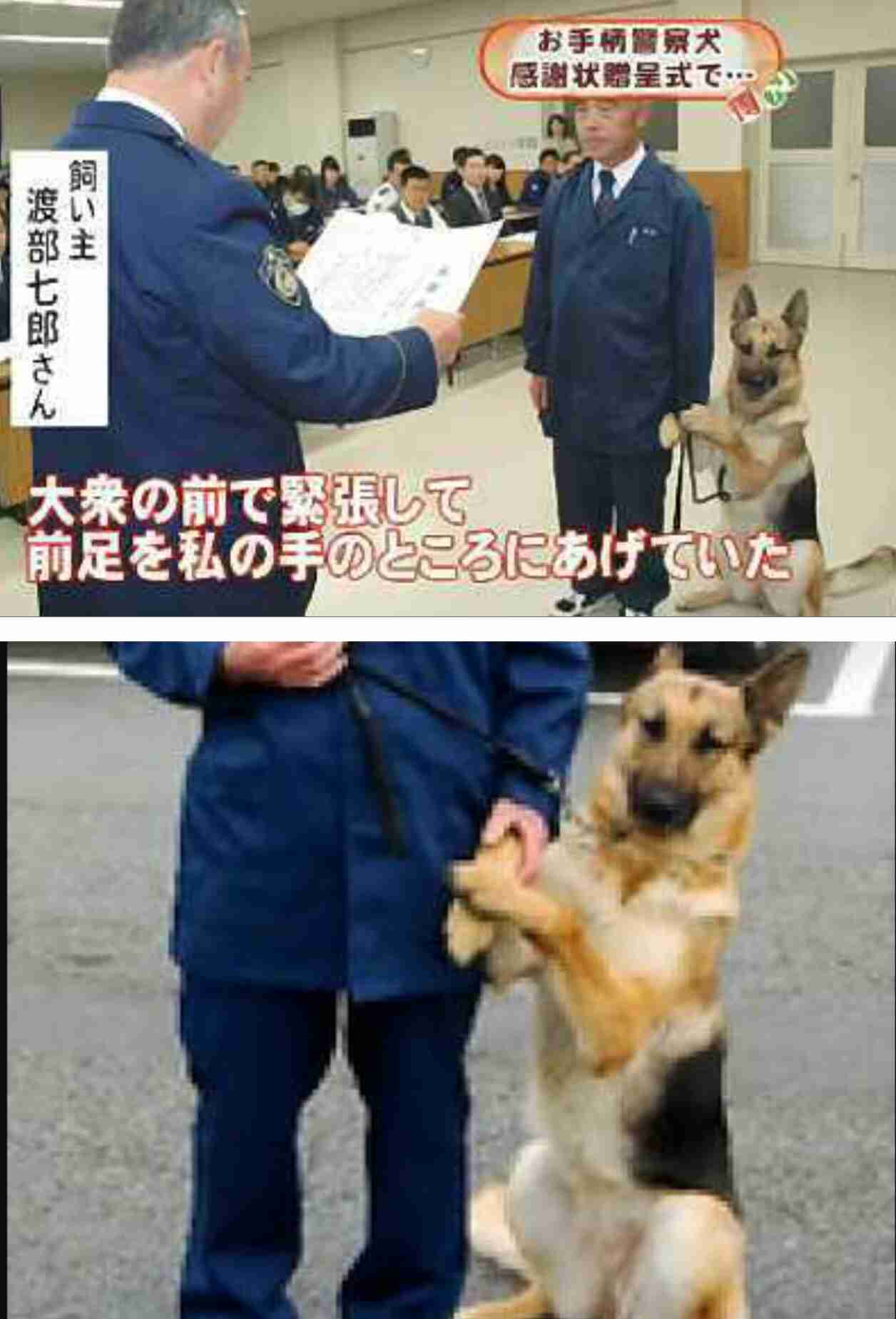 知らなくてもいいけど会話のネタになる雑学