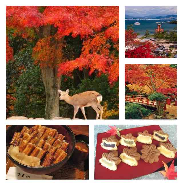 いろんな県の名物が知りたい