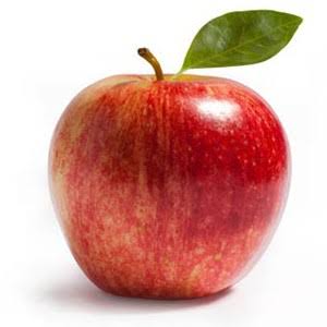 いろんな県の名物が知りたい