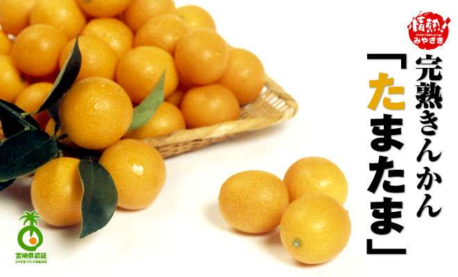 いろんな県の名物が知りたい